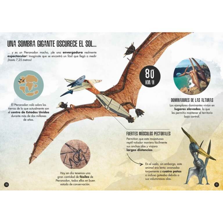 Libro y puzzle 3D. Pteranodon