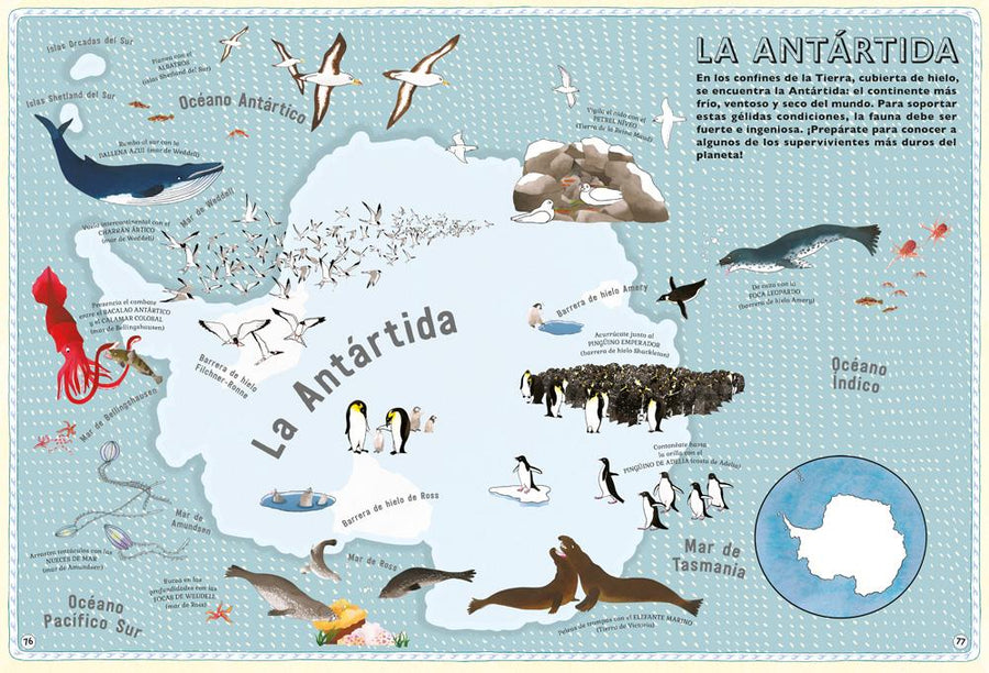 Libro - Atlas de aventuras animales - El mundo de Caspio