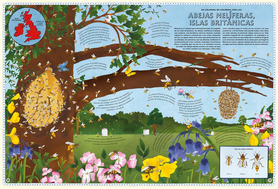 Libro - Atlas de aventuras animales - El mundo de Caspio
