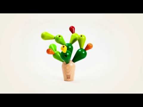 Cactus Equilibrista