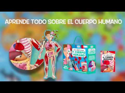 Todo sobre el cuerpo humano