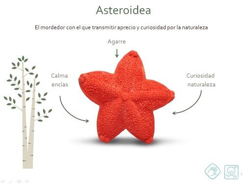 Mordedor - Mordedor Asteroidea - El mundo de Caspio