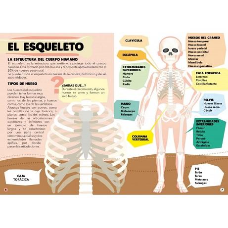 Puzle - Todo sobre el cuerpo humano - El mundo de Caspio